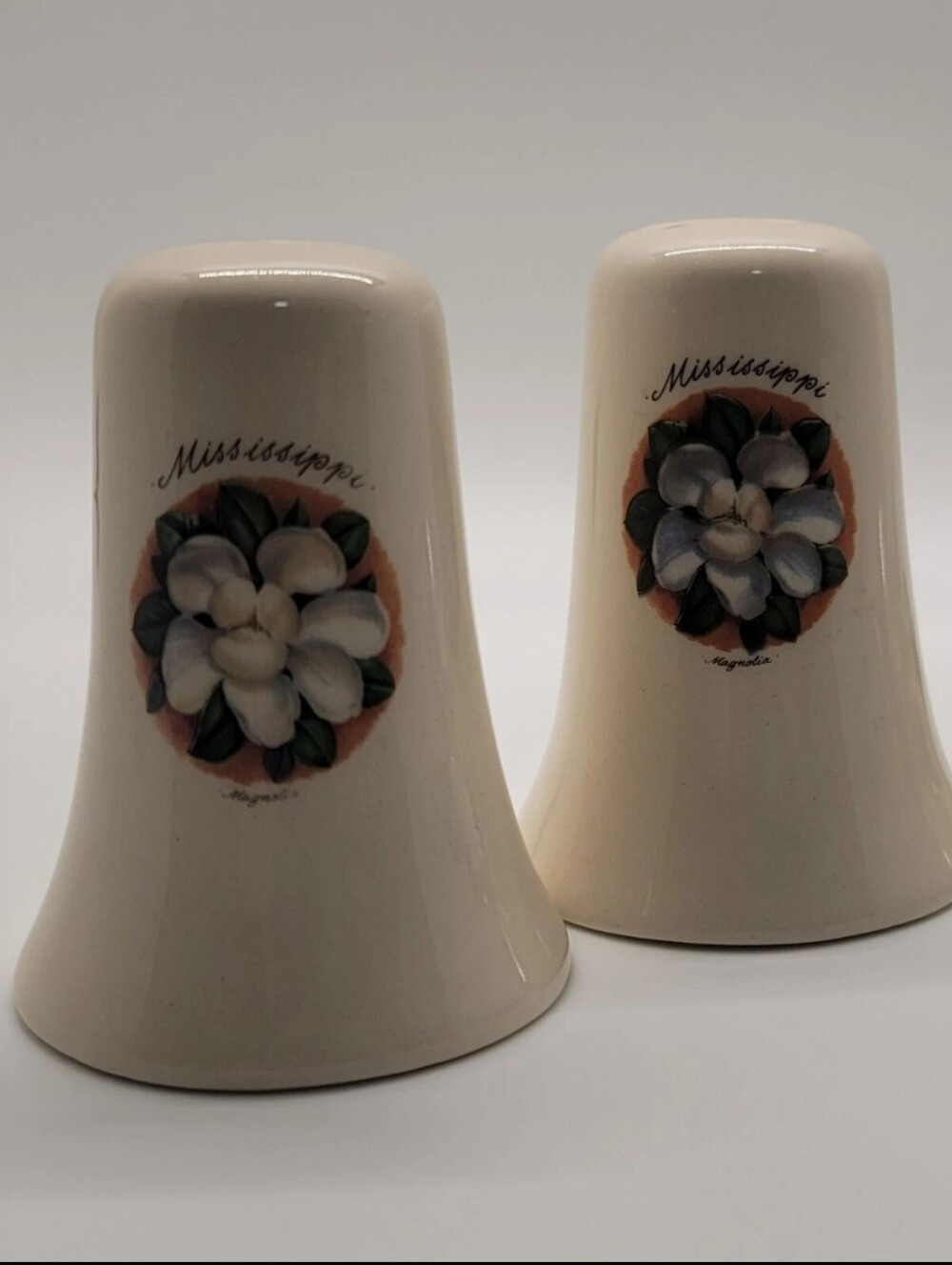 Mississippi Magnolia Ceramic Salt & Pepper Shakers - Cream with Floral Decal